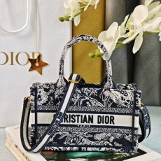 Christian Dior Shopping Bags